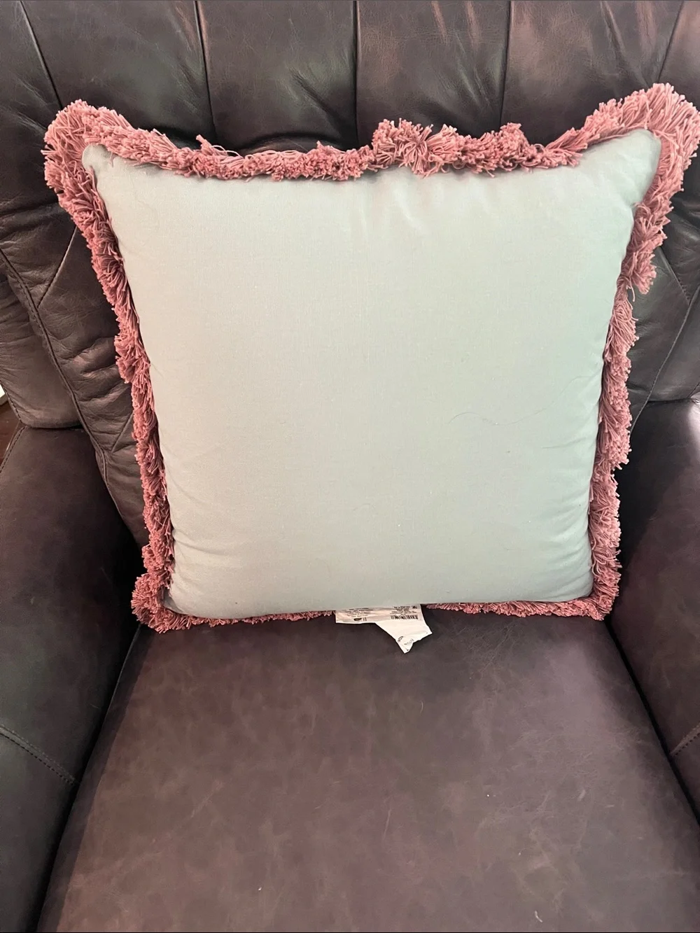 Threshold Decorate Tiffany Blue Fringed Pillow